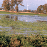 Windkraftanlage Meemken (November 1998)